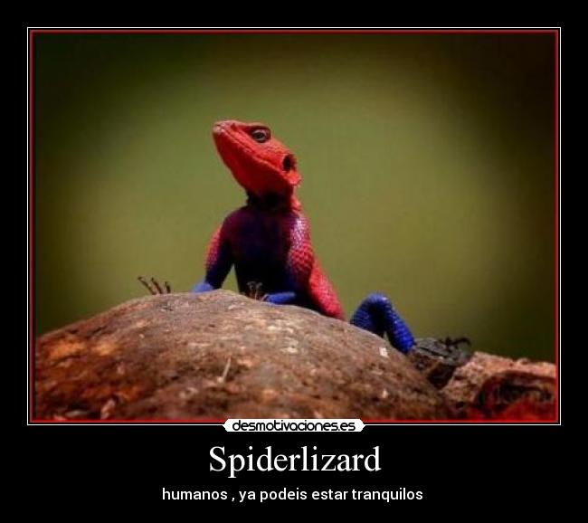 Spiderlizard - humanos , ya podeis estar tranquilos