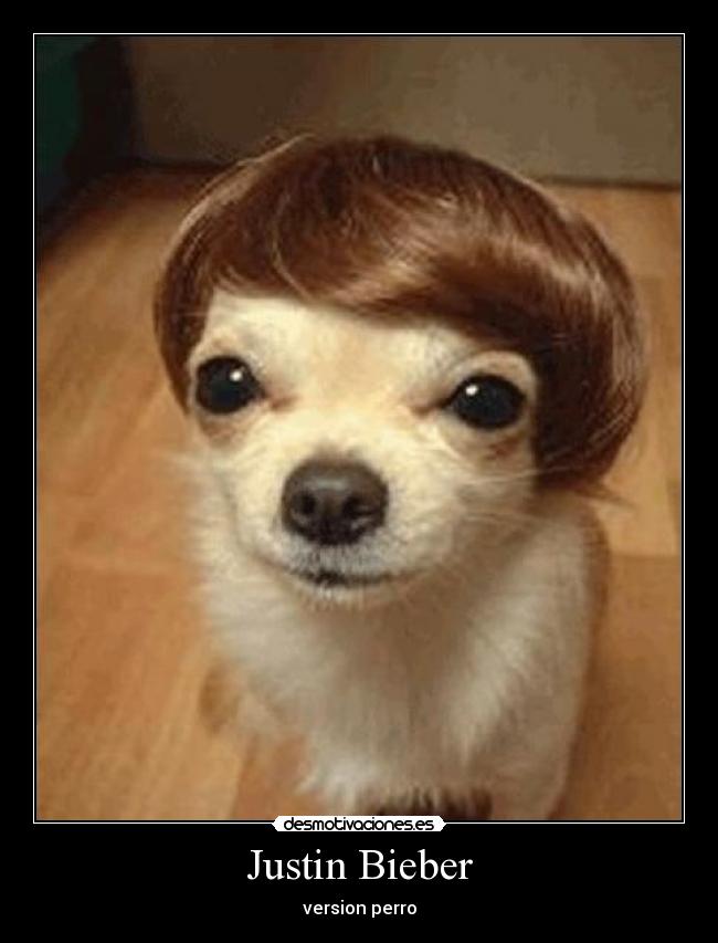 Justin Bieber - version perro