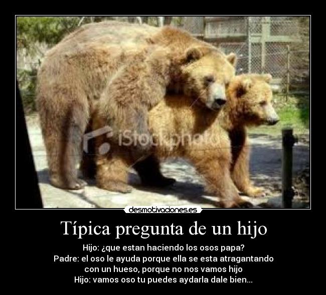carteles tipica pregunta hijo desmotivaciones