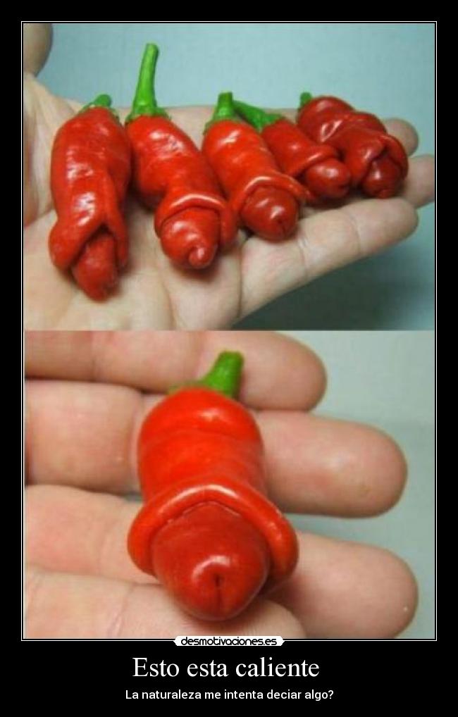 Esto esta caliente -