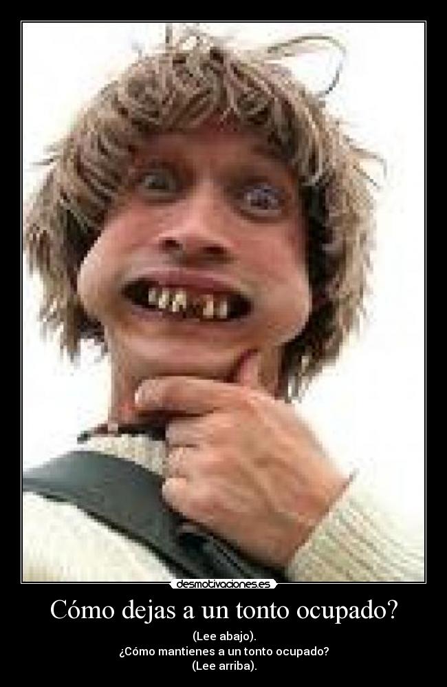 Cómo dejas a un tonto ocupado? - 