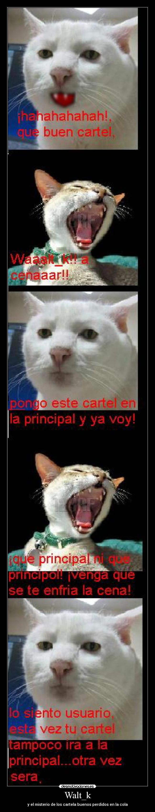 Walt_k - y el misterio de los cartela buenos perdidos en la cola