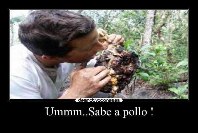 Ummm..Sabe a pollo ! -
