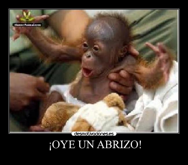 ¡OYE UN ABRIZO! - 