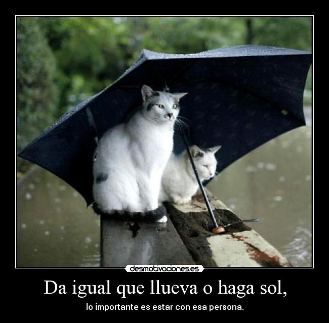 Da igual que llueva o haga sol, - lo importante es estar con esa persona.