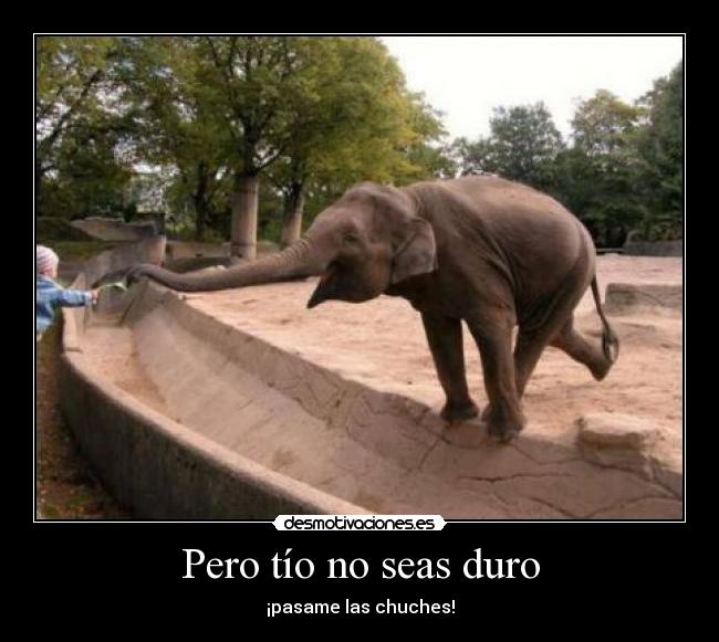 Pero tío no seas duro -