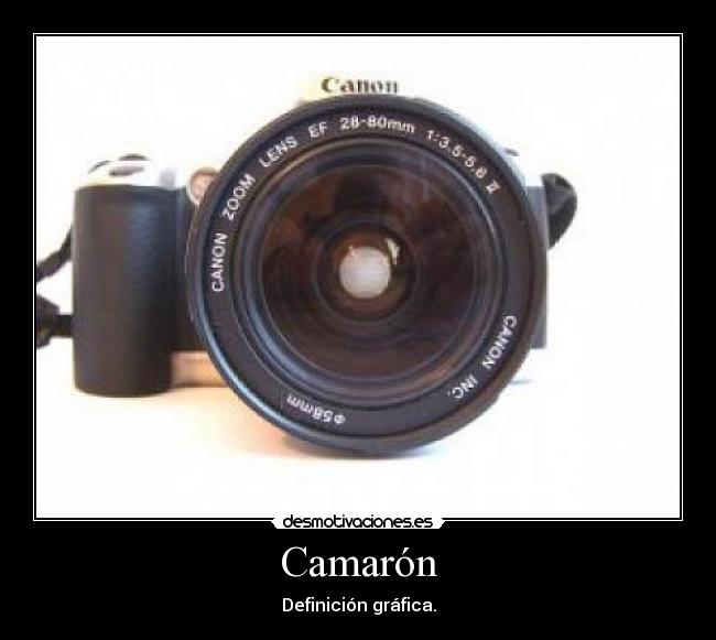 Camarón - Definición gráfica.