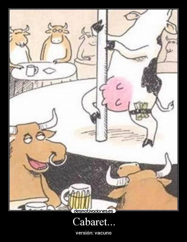 Cabaret... - versión: vacuno