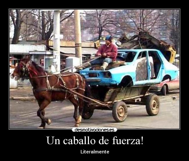 Un caballo de fuerza! -