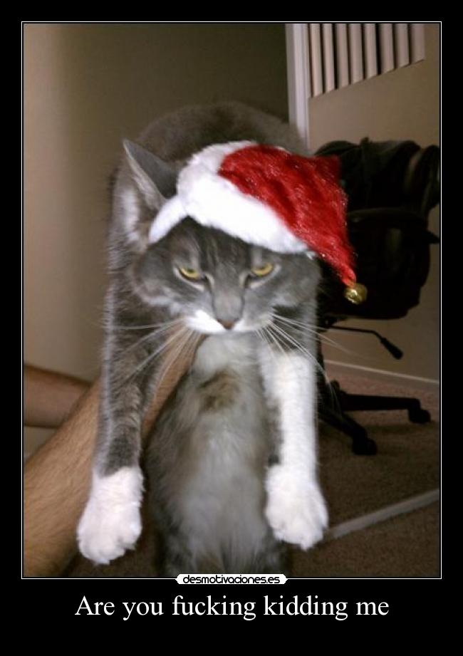 Are you fucking kidding me -