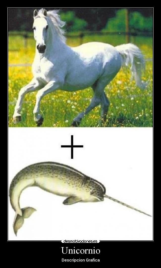 Unicornio - Descripcion Grafica