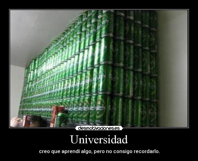 Universidad - 