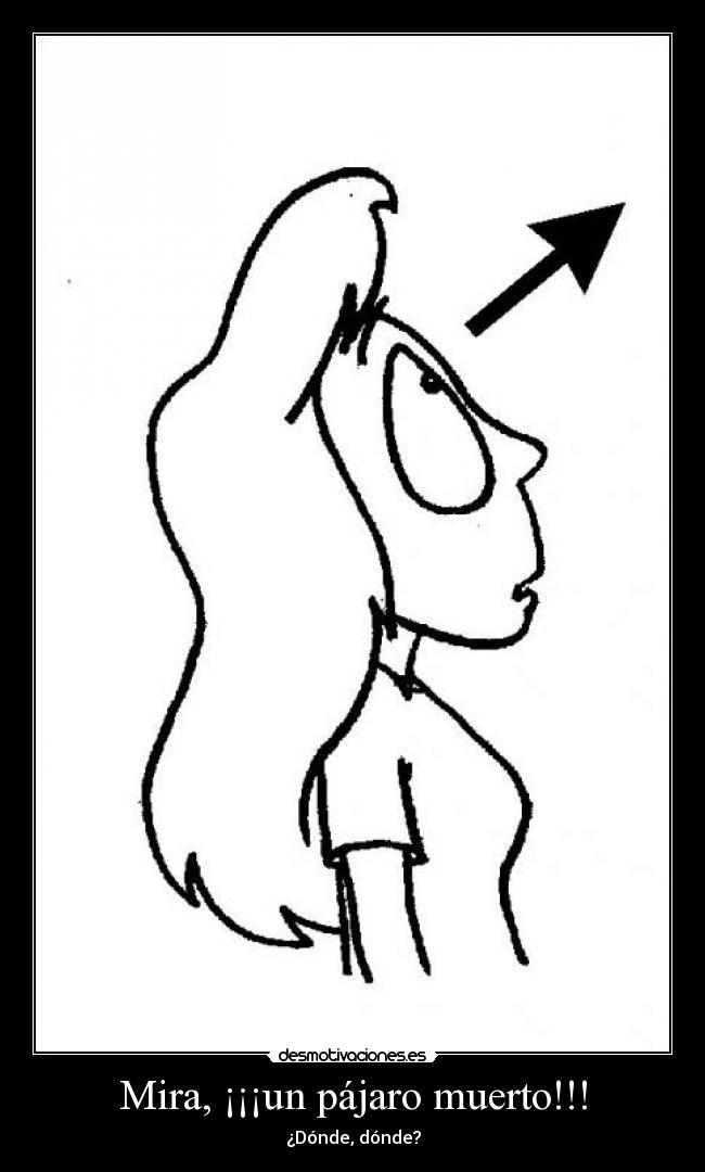 Mira, ¡¡¡un pájaro muerto!!! -