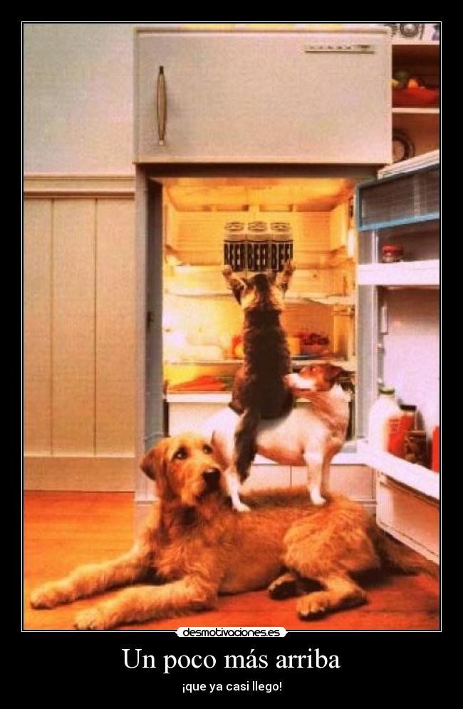 Un poco más arriba -