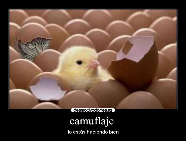 carteles imkubthcefx desmotivaciones