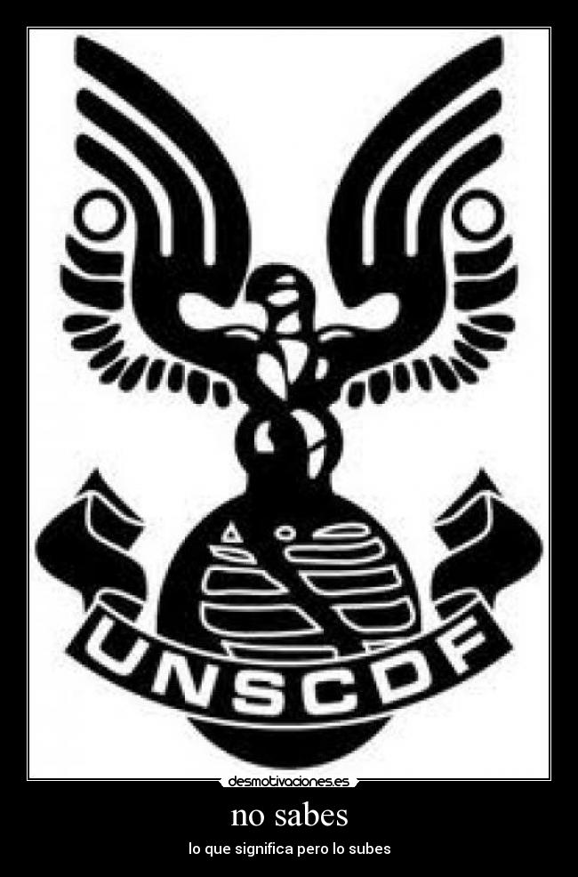 no sabes - lo que significa pero lo subes