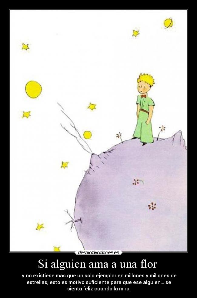 Si alguien ama a una flor -