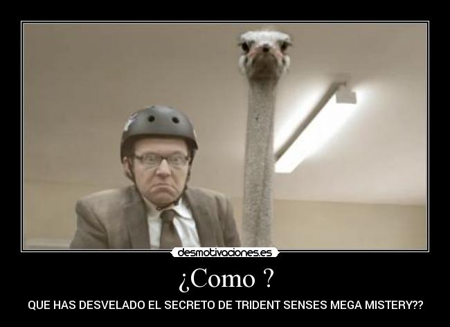 ¿Como ? - QUE HAS DESVELADO EL SECRETO DE TRIDENT SENSES MEGA MISTERY??