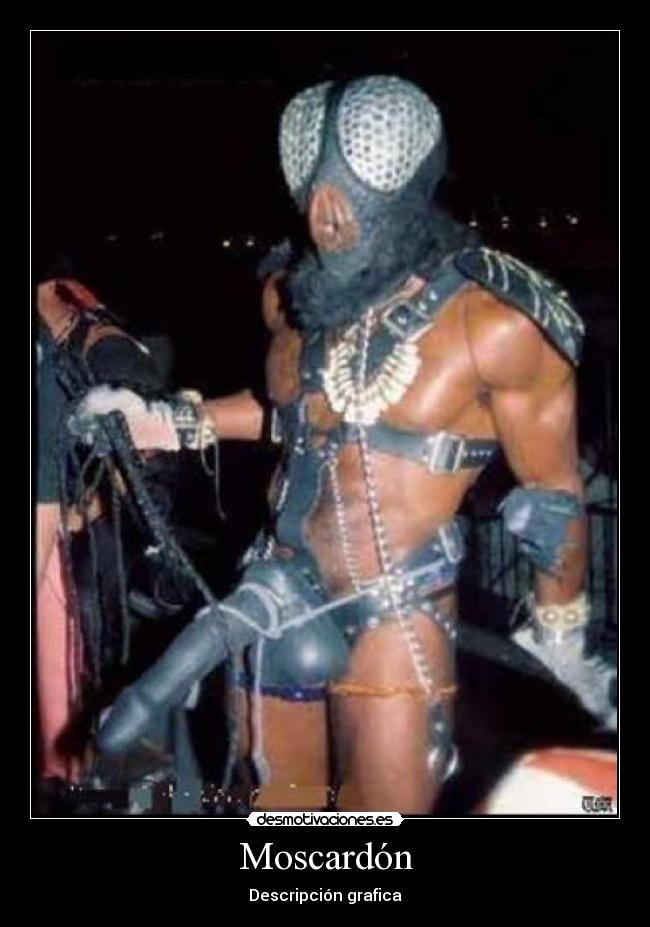 Moscardón - Descripción grafica