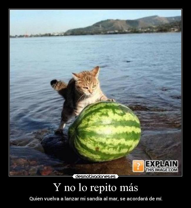 Y no lo repito más -