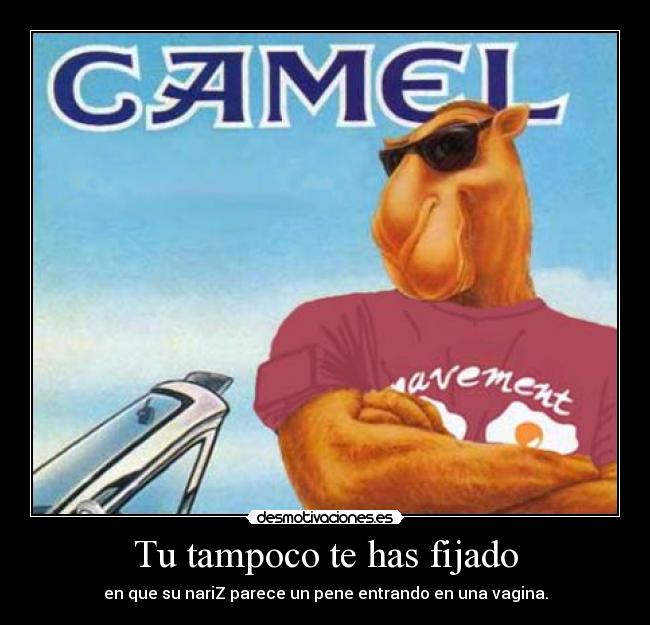 Tu tampoco te has fijado -