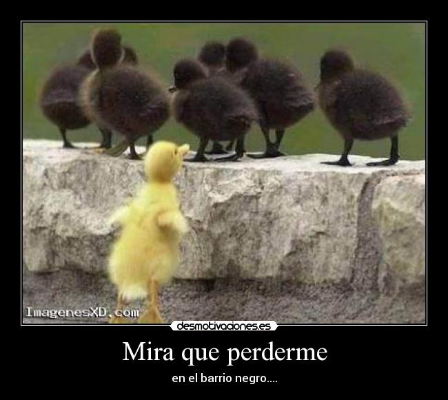 carteles mira que perderme desmotivaciones