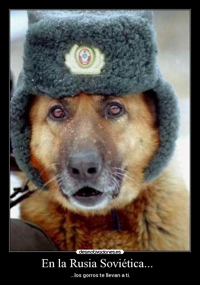 En la Rusia Soviética... - ...los gorros te llevan a ti.