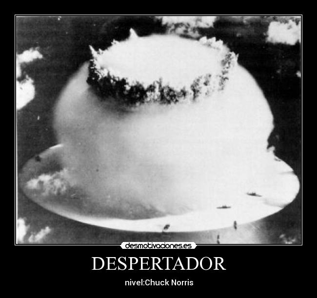 DESPERTADOR -