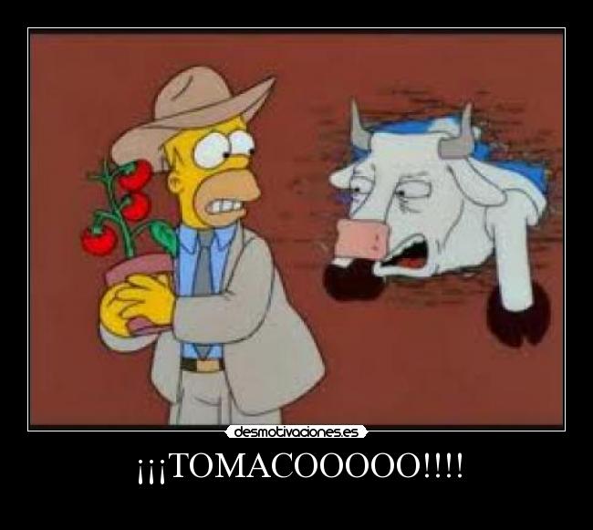 ¡¡¡TOMACOOOOO!!!! -