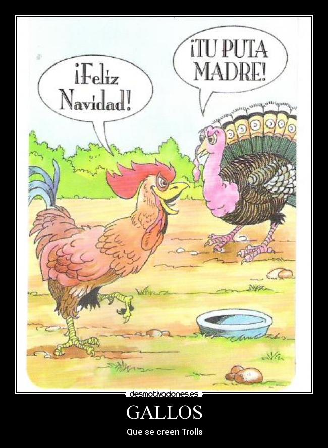 GALLOS -