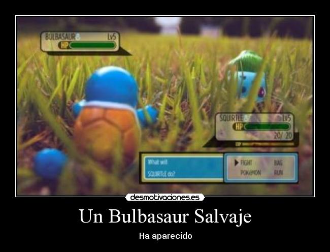 Un Bulbasaur Salvaje - Ha aparecido