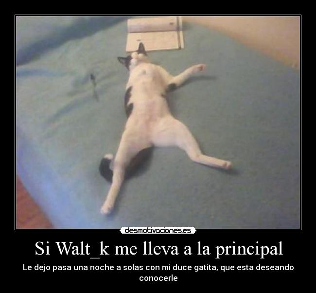 Si Walt_k me lleva a la principal - 