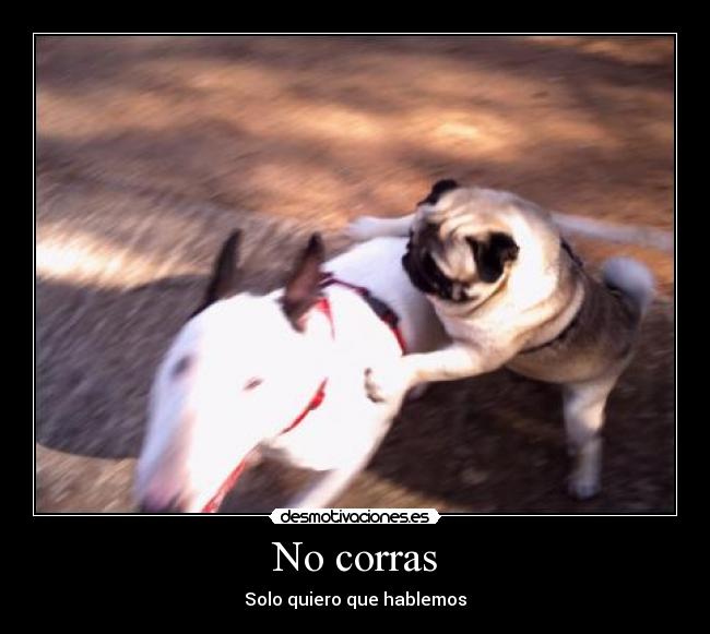 No corras -