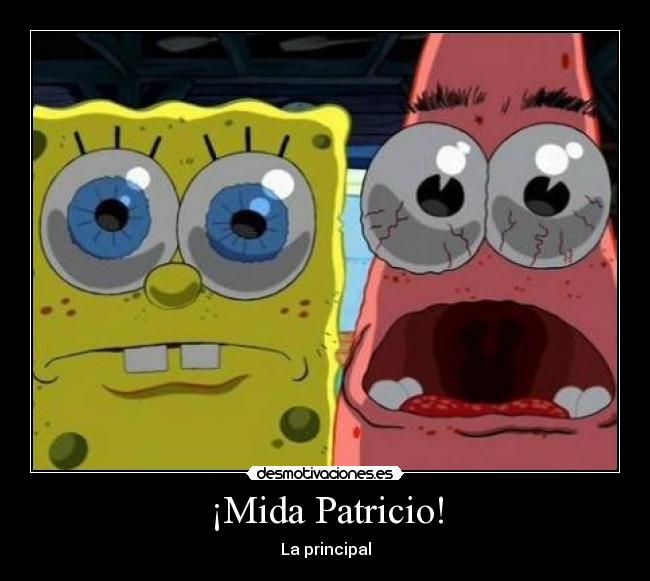 ¡Mida Patricio! -