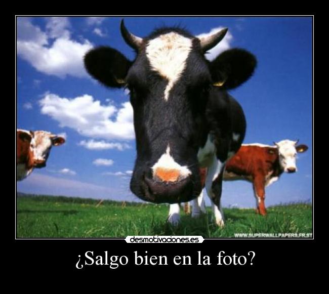 ¿Salgo bien en la foto? -