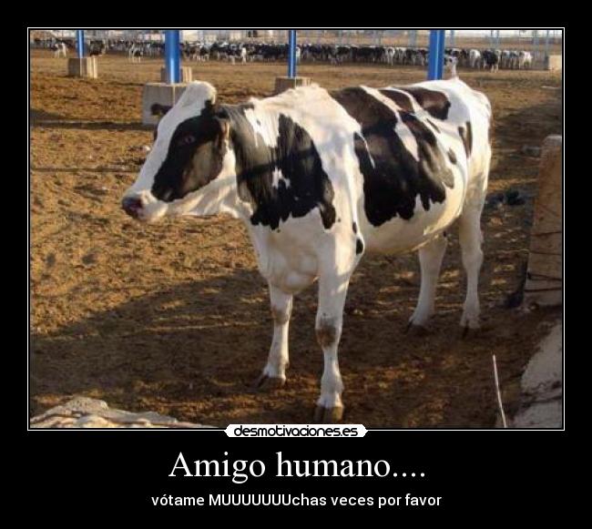 Amigo humano.... - vótame MUUUUUUUchas veces por favor