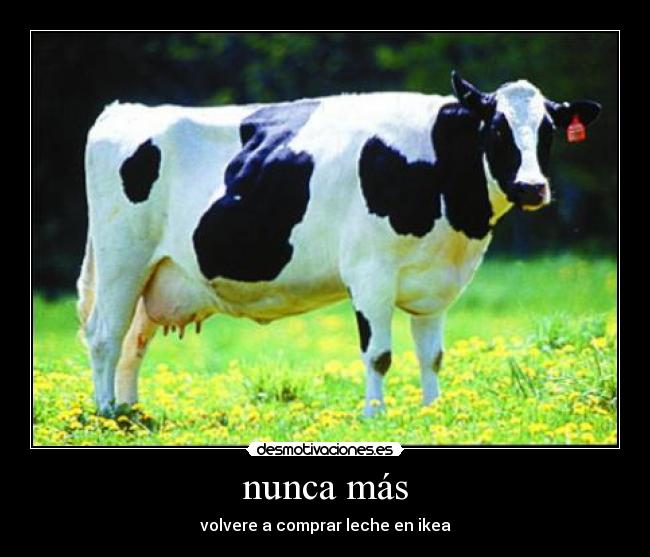 carteles 2345 desmotivaciones