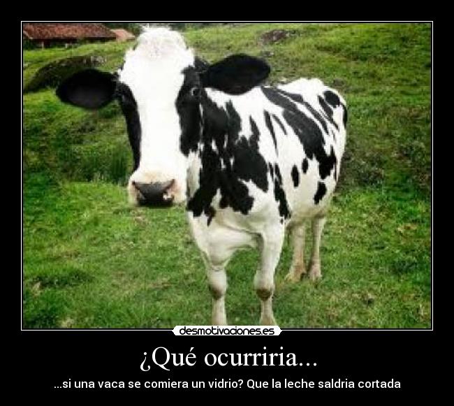 ¿Qué ocurriria... -