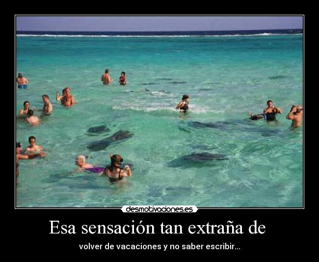 carteles vacaciones escribier olvidar desmotivaciones