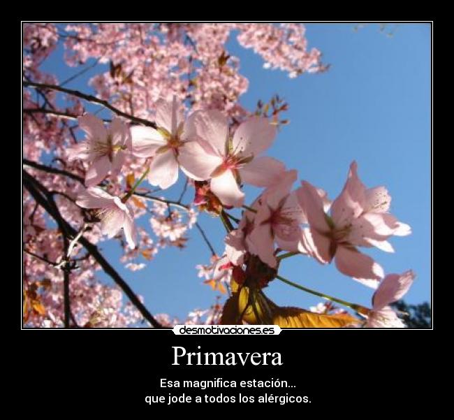 Primavera -
