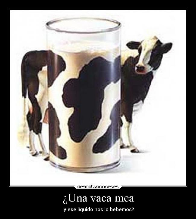 carteles vaca leche mear desmotivaciones