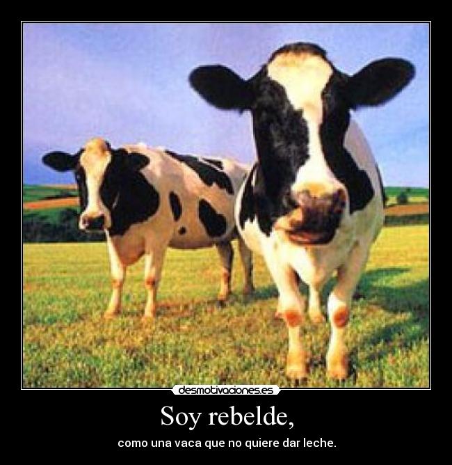 Soy rebelde, - 