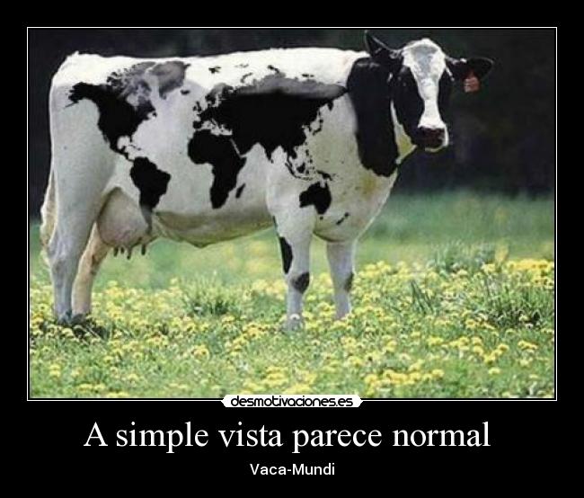 A simple vista parece normal  - Vaca-Mundi