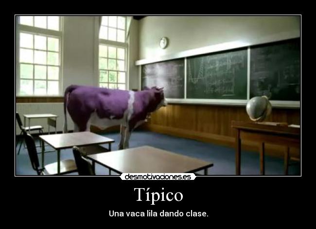 carteles vaca lila desmotivaciones