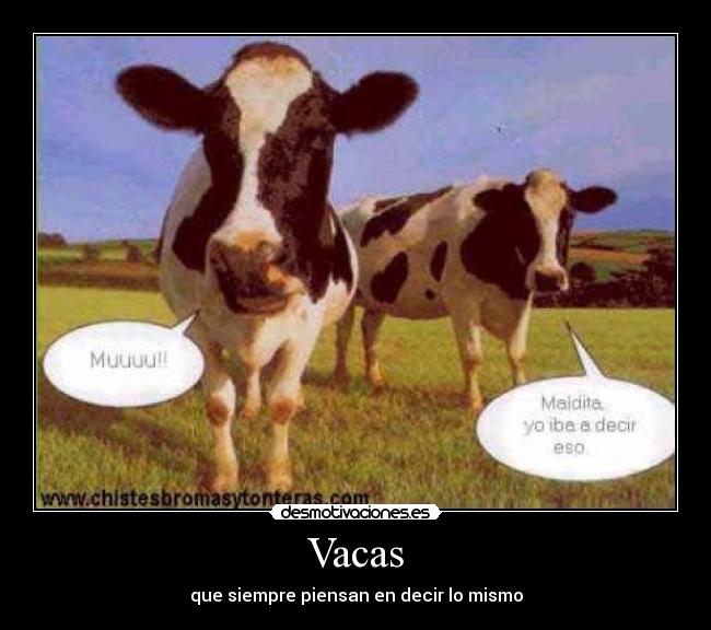 Vacas -