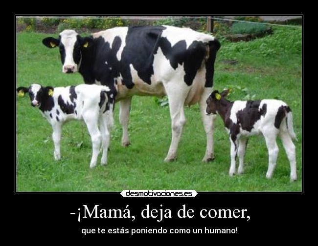 -¡Mamá, deja de comer, -