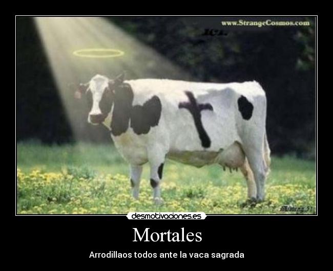 Mortales - Arrodillaos todos ante la vaca sagrada