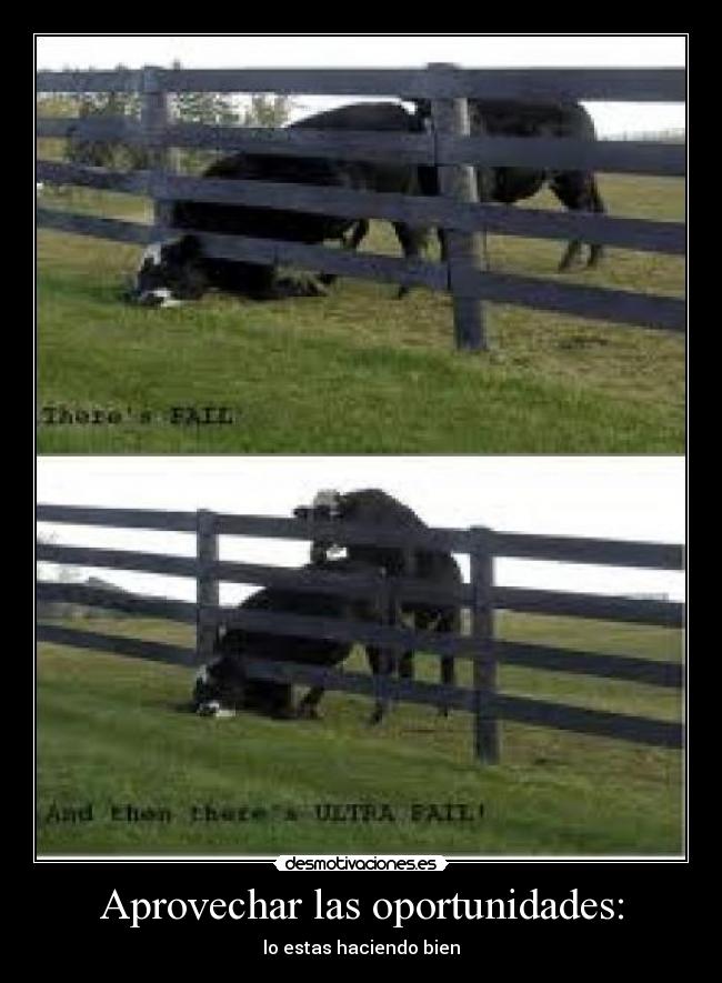 Aprovechar las oportunidades: -
