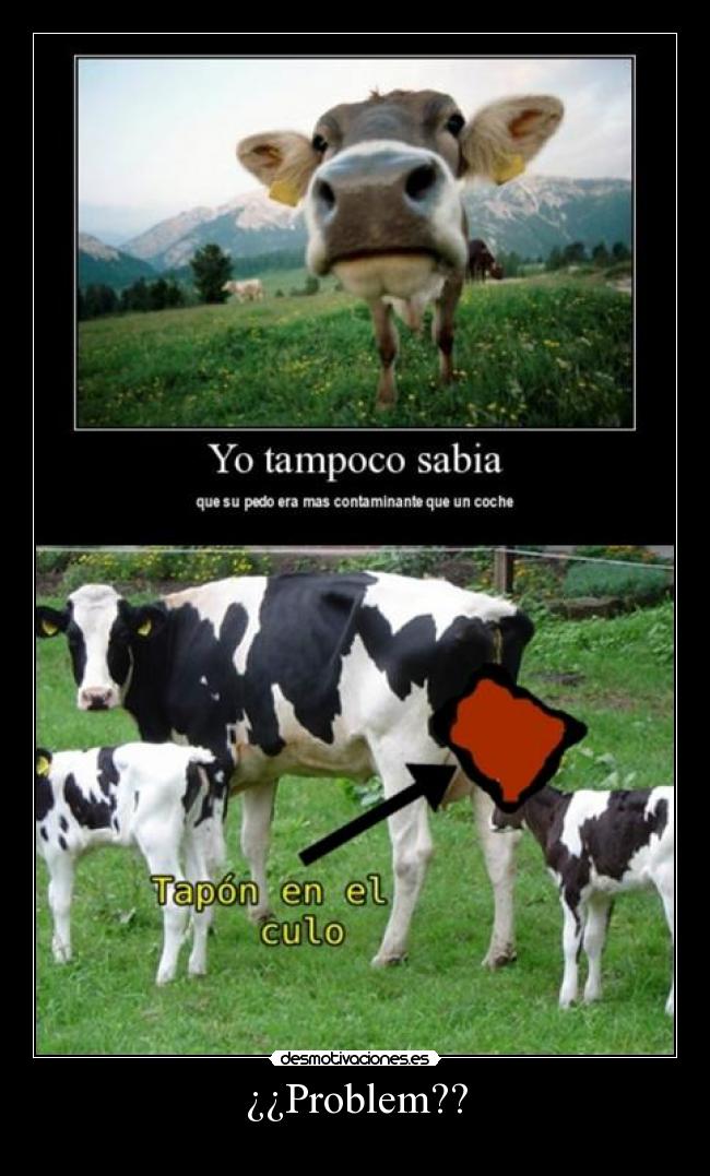 carteles edrgfdswer4eewwerrrrew desmotivaciones