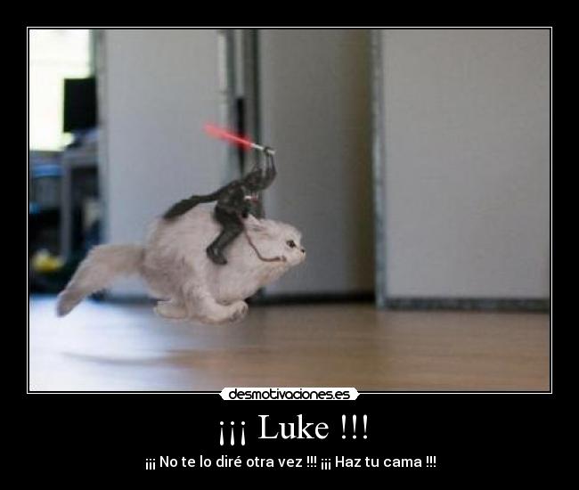carteles darth vader animal conejo perro luke soy padre haz cama fail star wars cine torrente gaga desmotivaciones